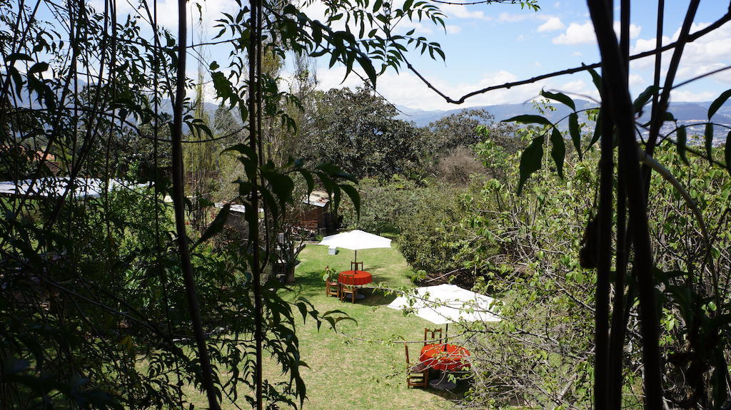 La Casa Del Tilo Bed & Breakfast Hacienda Santa Rosa Exterior foto