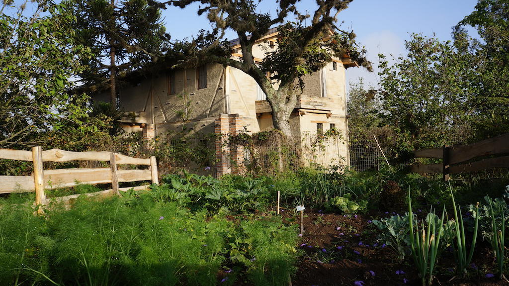 La Casa Del Tilo Bed & Breakfast Hacienda Santa Rosa Exterior foto